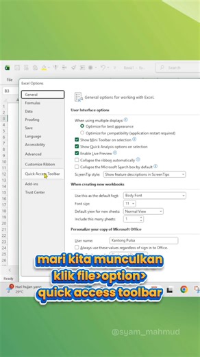 Cara membuat form input di excel ✨ tampilan seperti formulir online 👍. #tipsexcel #tutorialexcel #belajarexcel #excel #exceltips | Excel With Syam