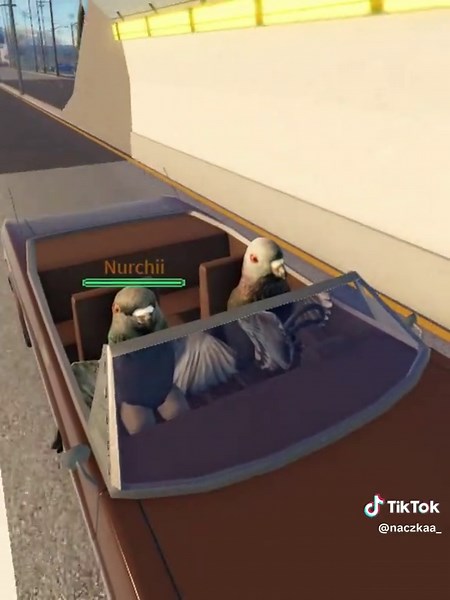 Server de discord en mi perfil para hablar o jugar | nurchi roblox