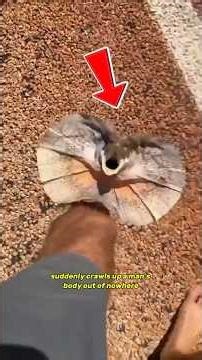 Clips so Crazy you'll watch twice!! 😲😂