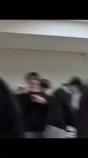 Little Fox Enjoys Hotpot Before Concert: A Fun Recap