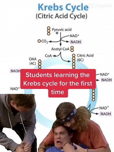 A Biology Teacher on TikTok