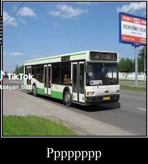 Explore the Most Beautiful Buses in the World