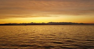 Video by David  Wall on Pexels