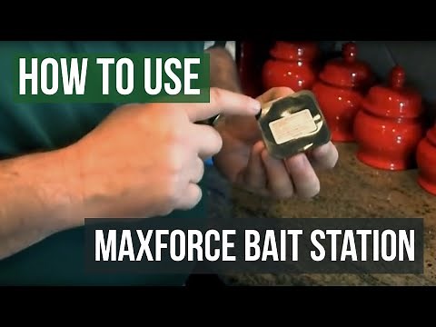 How to use Maxforce FC Roach Bait Stations from Bayer