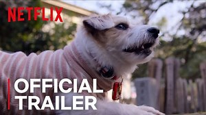 Netflix's 'Dogs' trailer is an emotional palate cleanse: Watch