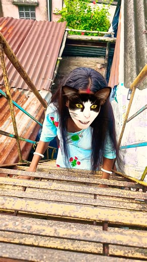 POV: Parfois tu as juste besoin d'un petit coup de pouce soutenant #chat #cat #pourtoi#humour
