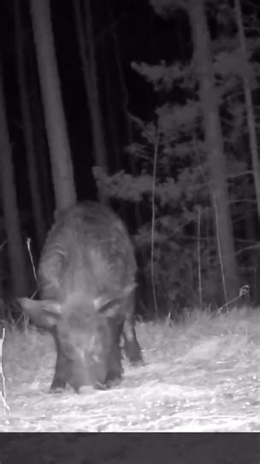 Randy Cook on Instagram