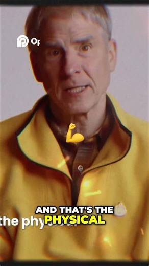 The Neocortex: The Brain's Layer for Conscious Experience