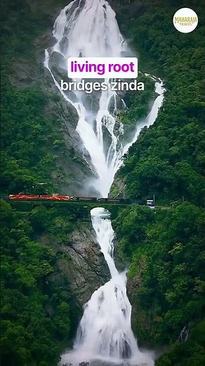 10 Best Places to Visit in India | Ultimate Travel Guide & Itinerary 2026