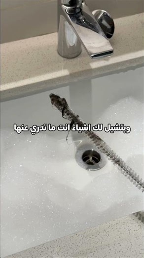 تنظيف عميق وسعر رهيب بمهرجان عروض امازون اللي بدأ اليوم!