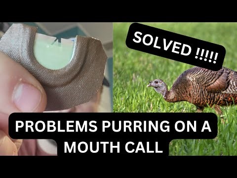 PROBLEMS PURRING ON A MOUTH CALL... SOLVED !!!!