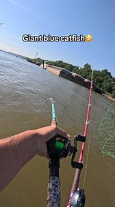 Here’s the the battle of the giant blue catfish from this weekend !🎣like this one up for me everyone ❤️ #snappybfishing #reelsviralシfb #slungercatoutdoors #catfishing #boatlifestyle #gizzardshad #bluecat #catchandrelease #fishingaddict Slunger Cat Outdoors snappy 10 saves you 10% off at www.slungercatoutdoors.com | Bradlee Snapp