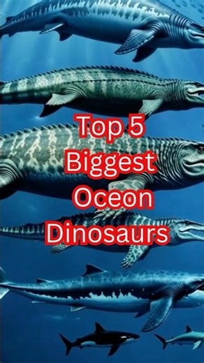 Top 5 Biggest Sea Monsters That Ever Ruled the Oceans! 🌊😱”