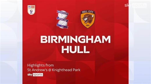 Birmingham City 2-3 Hull City: Managers Chris Davies and Sergej Jakirovic involved in angry war of words as fracas mars Tigers win