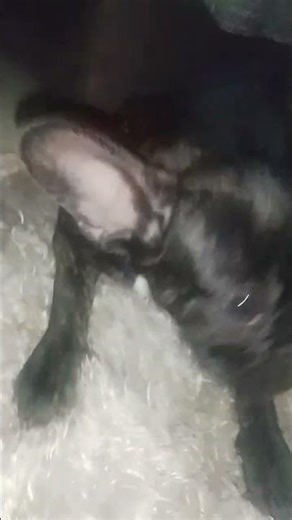 Hey man, how are you doing? Give me a shout-out! (new meme)