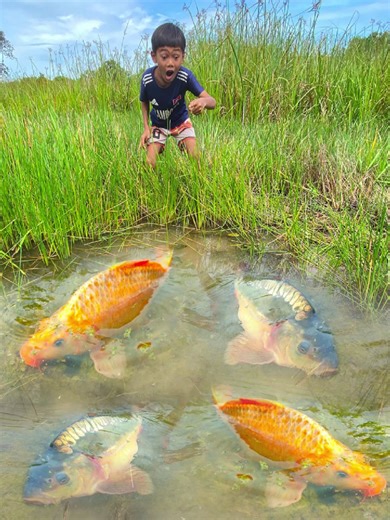 Essential Fish Trapping Techniques for Survival Skills