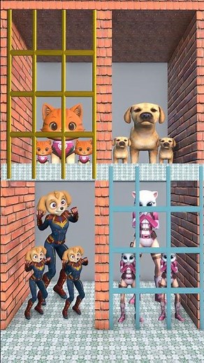 DOGS AND CATS. BOTH LOVELY?#dog #cat #funny #shots