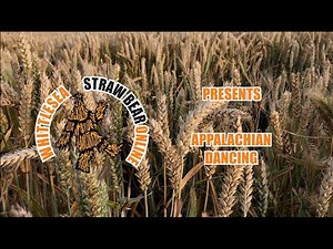Straw Bear online: Appalachian step dancing