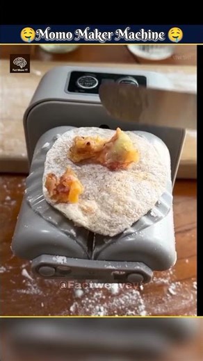 The Viral Momo Machine Everyone Was Using Wrong! {Day 52}