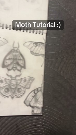 How to Draw a Moth: Step-by-Step Tutorial for Beginners