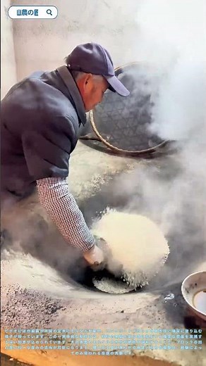 Soil Prep Secrets: Packing Nutrient-Rich Dirt for Perfect Plants