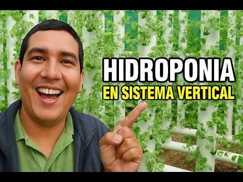 Grow 30 plants in 1 tube! This is how my vertical system works.