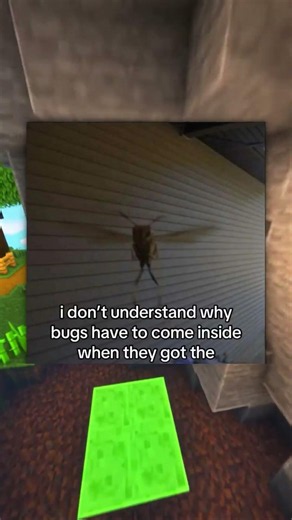 Bugs got the whole outside. Why they come inside tho?