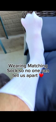 Identifying Cat Paws: Fun Feline Facts