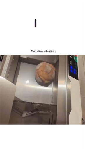 universal_education on Instagram: "- The post showcases a 13-second video of an industrial ARIA PRO machine from French firm ARIA Constructeur, which efficiently shreds whole loaves of bread into uniform breadcrumbs, demonstrating precise automation in food processing that has captivated viewers. - Posted by motivational content creator @Jamesjonesik8 on 14 December 2025, it quickly went viral with 3.9 million views and 14,000 likes, underscoring public fascination with quirky industrial innovat