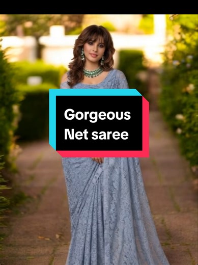 Stylish Net Saree for RM40 - Style Your Way