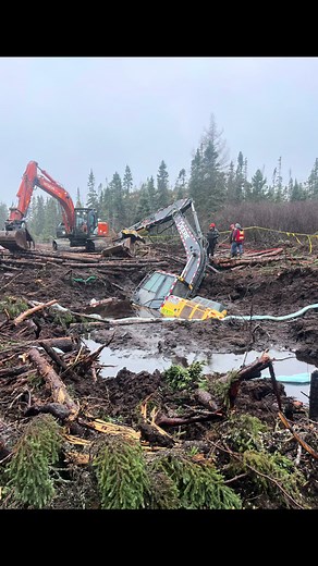 Road Trip Recovery: Digger Rescue from Quicksand