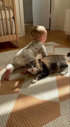 Cat Gently Protects Toddler