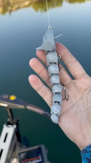 65K views · 6.8K reactions | Fishing with a 3D-Printed Onyx Pokemon Lure Use code: RYANR10 - to save on all Kastking gear. . . . #fishing #fisherman #fishingislife #fishingdaily #fishingmemes #swimbait #bigbass #fishingvideos #kayak #kayakangler #trout #angler #bassfishing #fish #catfish #crappie #redfish #bass #saltwaterfishing #saltwater #fyp #lakefishing #pondfishing #pokemon | Ryan Rigged Fishing | Facebook