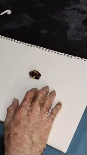 Anybody else prefer thumb pick? #thumbpick #guitar #acousticguitar #electricguitar #picking #guitarpicking #guitarforbeginners #cover #elsardwmn #begginerguitarist #pick #guitarpick #explained #fypage #foryourpage #fyp