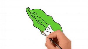 Draw Fruit Sketch Fill Color Automatic Stock Footage Video (100% Royalty-free) 1100369033 | Shutterstock