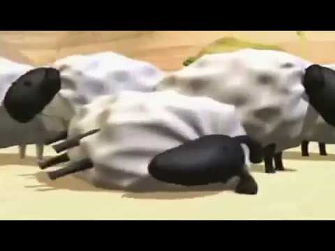 Falling Sheep