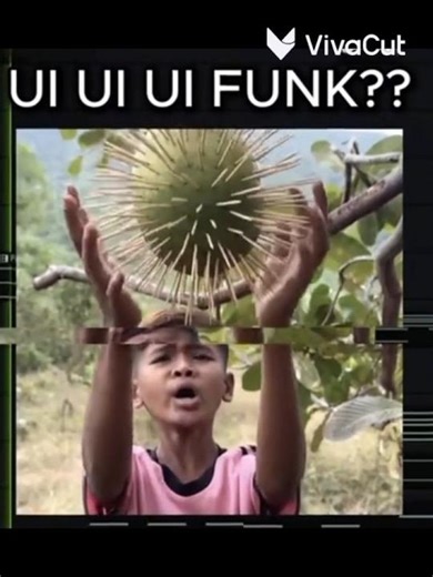 ui ui ui funk