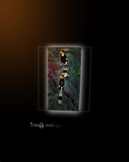 Myanmar Father Saves His Child in a Dramatic Rescue