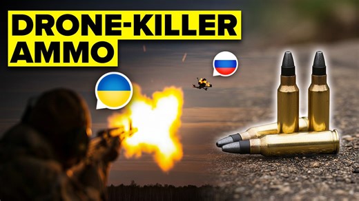 Ukraine Finds a GENIUS Way to Take Out Russian Drones