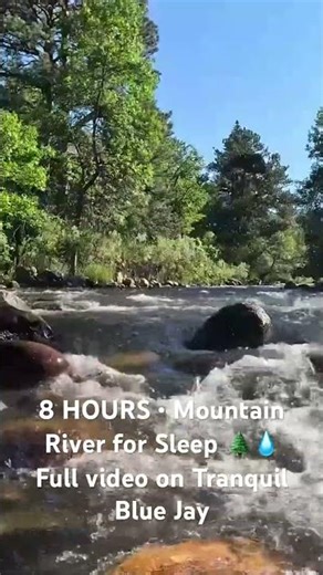 Peaceful Colorado river ambience 💧🌲 Great for sleep or TV background • Full 8 hrs on channel