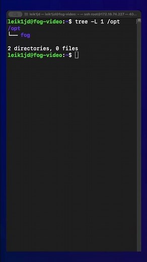 STOP Ignoring the /opt Directory - Here's Why