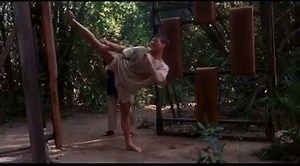 298K views · 1.2K shares | Happy 56th Birthday to martial arts movie...