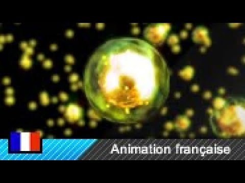 Fission nucléaire (Animation)