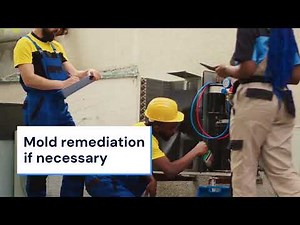 Sewage Backup Cleanup in Layton UT - Upkeep Water Damage Restoration
