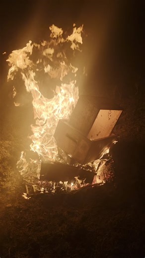 Makeing us burn in a national forest!!!#fireball #honey #familybusiness #family #beekeeping #framing #newzealand #familytime #honeybee | Springbank Honey