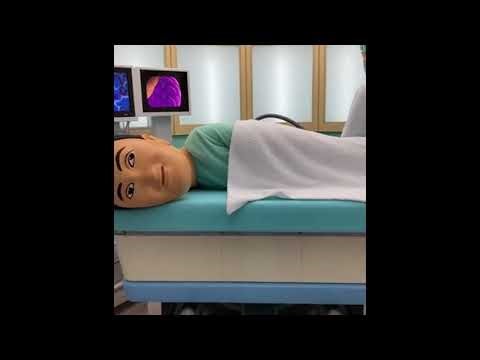 大腸検査コースター Colonoscopy Ride in japan.