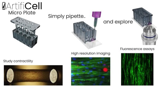 #3dbiology #cellculture #tissueengineering #organoids #cardiacresearch #muscleresearch #genetherapy #drugdiscovery #lifescience #biomedicalresearch #fluorescenceimaging #labinnovation | ArtifiCell