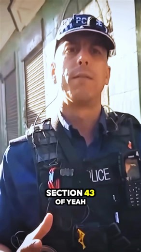 Stupid Inspectors Get It All Wrong !!! #policeofficer #security #auditor #audit #ukpolice