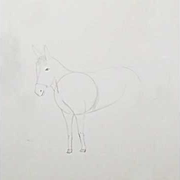 How to draw a donkey in 11 steps