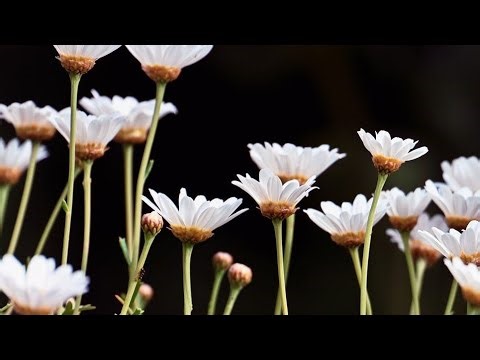 Hello Hello my beautiful family kaise h aap sab dekho m aa gai 🥹😂🙏